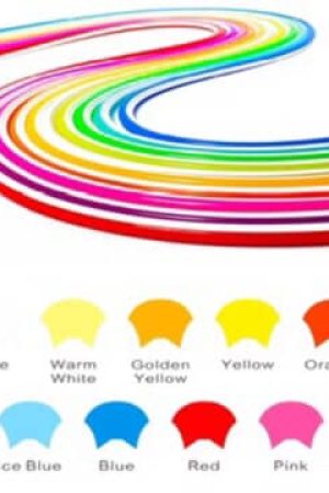 546916520_2863225233865575_8482826230263265782_n