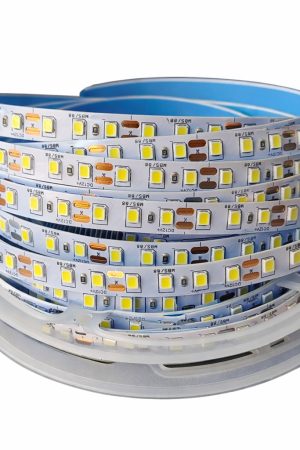 WhatsApp Image 2026-03-13 at 11.31.52