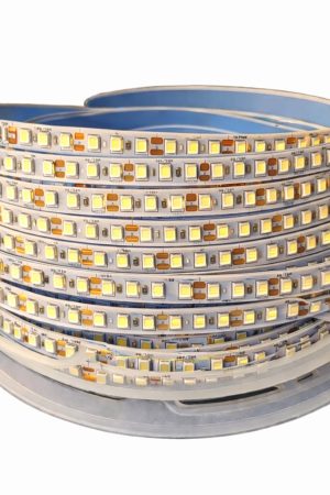 WhatsApp Image 2026-03-13 at 11.54.06